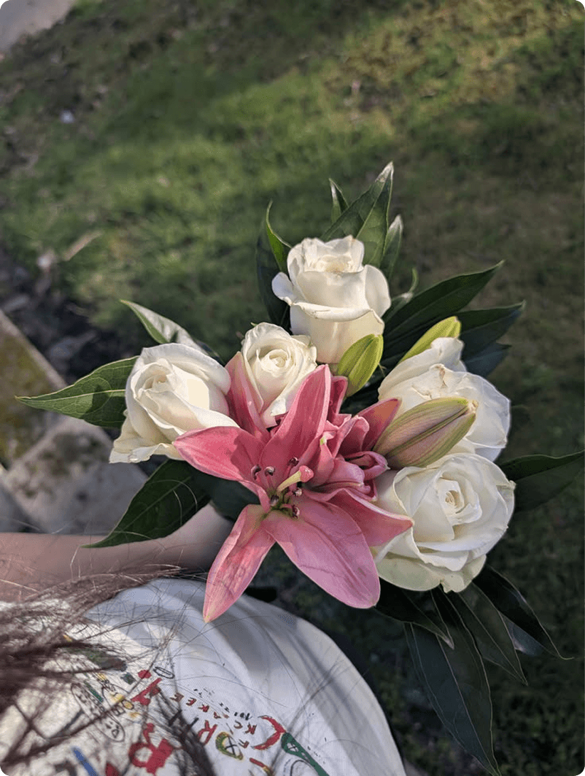 Lilies